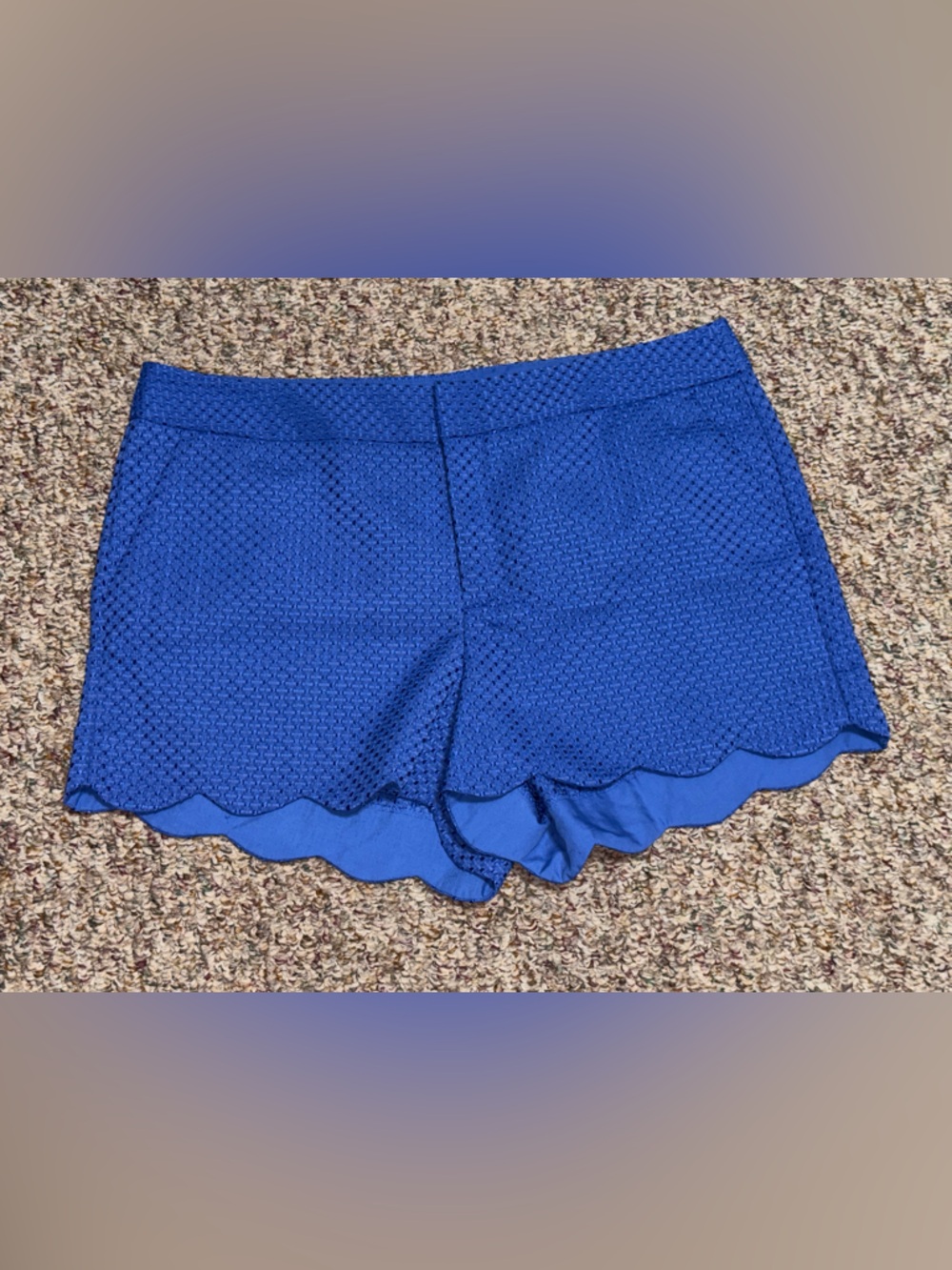 Women's size 14 Elle Royal‎ Blue Scallop Hem Textured Shorts summer beach casual
